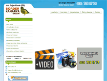 Tablet Screenshot of borderkanarya.com